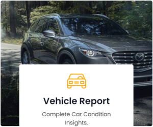 Vehicle Report Premium Plan